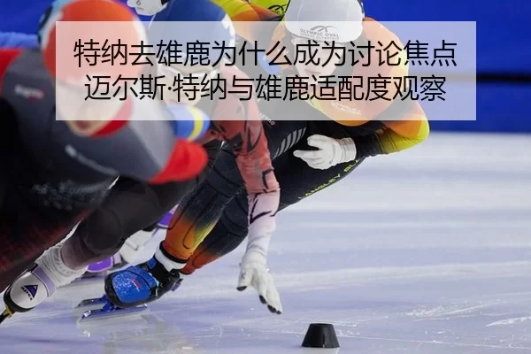 特纳去雄鹿为什么成为讨论焦点 迈尔斯·特纳与雄鹿适配度观察
